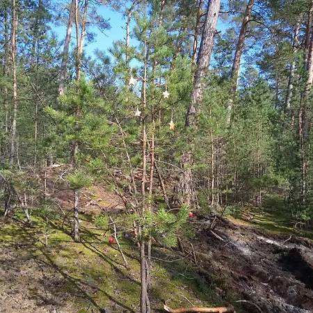 Drei Elstern شيارك