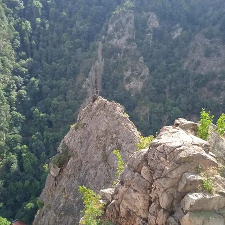 Drei Elstern 3* شيارك