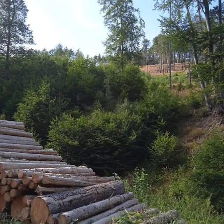 Drei Elstern Pensión Schierke