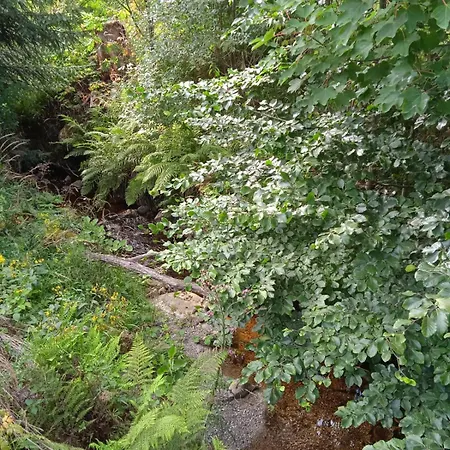 Drei Elstern 3* شيارك