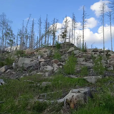 Drei Elstern بيت ضيافة 3*