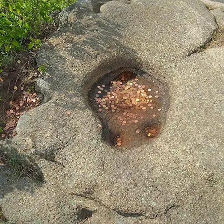 Pensión Drei Elstern 3*