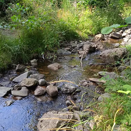 Drei Elstern بيت ضيافة شيارك