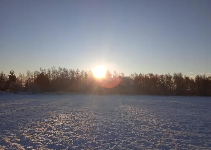 Πανσιόν Drei Elstern 3*