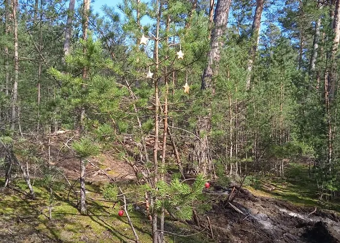 Drei Elstern Schierke