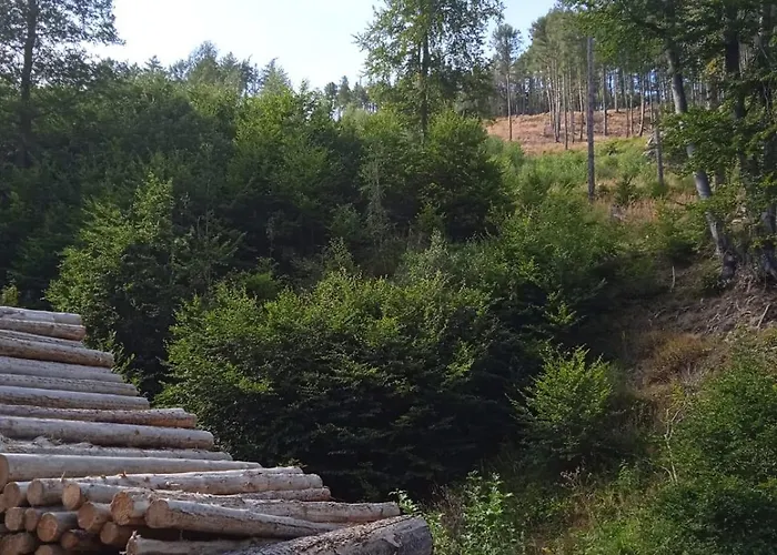 Drei Elstern Πανσιόν Schierke