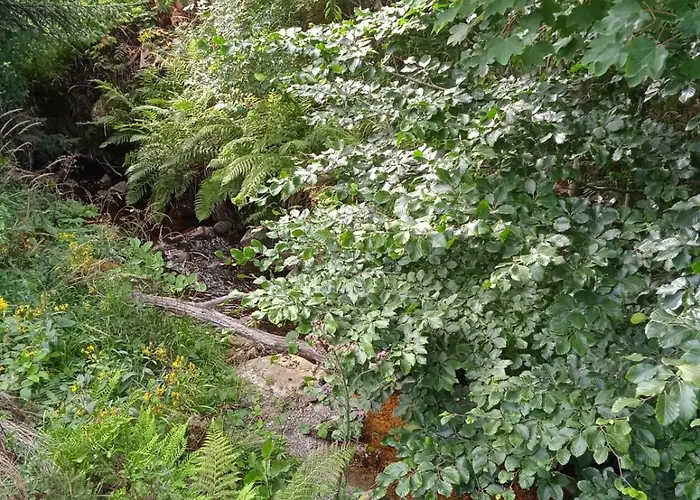 Drei Elstern 3* Schierke