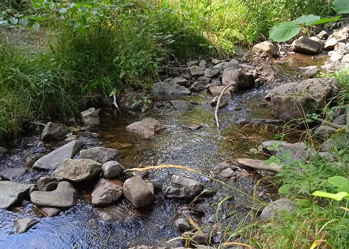 Drei Elstern Πανσιόν Schierke